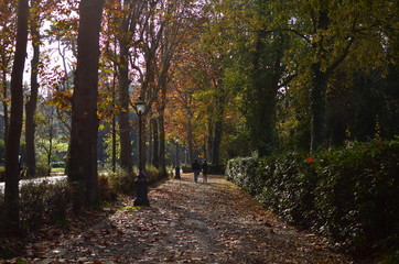 Firenze - Viale Michelangiolo
