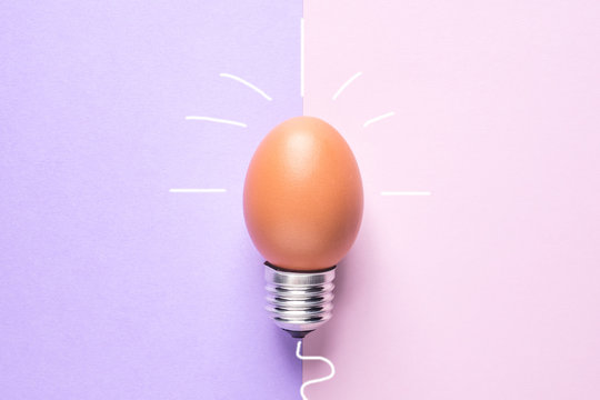 Light Bulb Egg shell on Base Concept  Energy Saving 