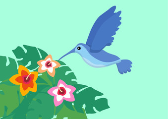 Cute blue flying colibri bird.