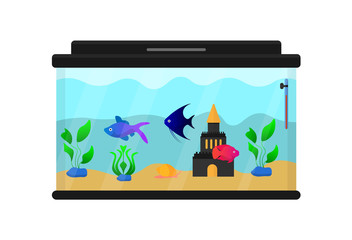 Aquarium with fish, plants, snail,