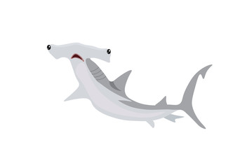 A large gray hammerhead shark.