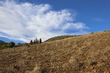 andalusian landscape