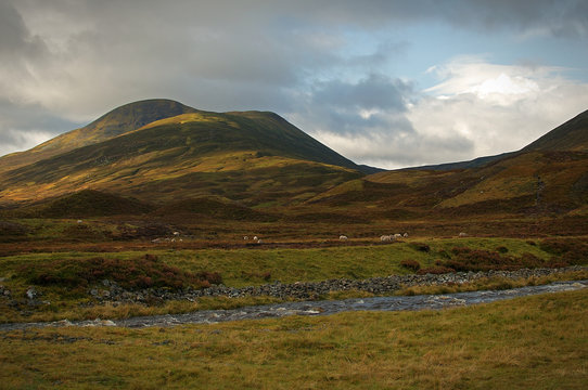A stream near Dalwhinnie in the highlands of Scotland