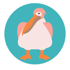 pelican vector illustration flat style  front side