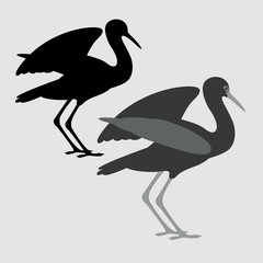  black stork vector illustration flat style  silhouette black profile
