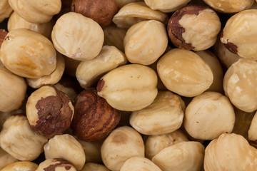 Hazel nuts close up