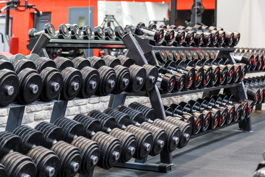 Rows of metal dumbbells on rack in the gym