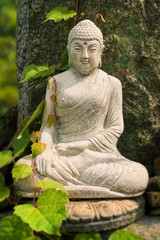 buddha statue with plants on warm day