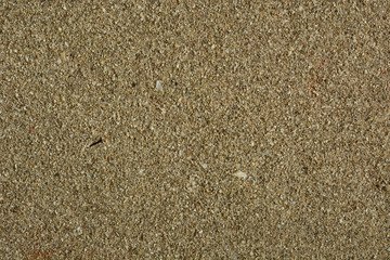 Sandy beach - Detailed sand texture