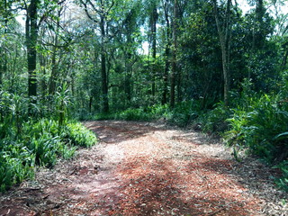 Motos e Paisagens, jotabe