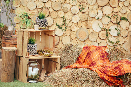 Wooden background photozone with green plants and rustic decorations
