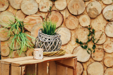 Wooden background photozone with green plants and rustic decorations
