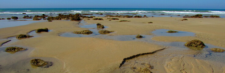 Bassa marea - fondale marino