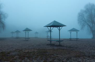 Fog on the beach