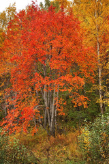 Landscape near Port-Baikal settlement. Irkutsk oblast. Russian