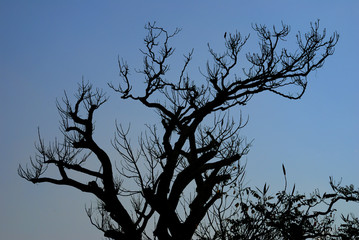 Setting sun reflecting off the clouds in Guatemala.