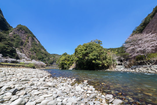 春の古座川峡