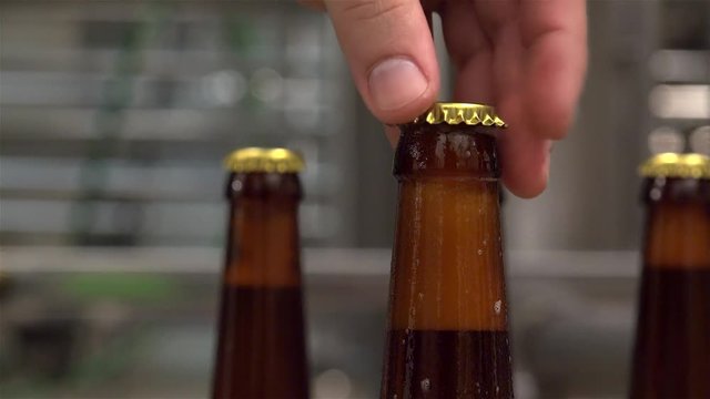 Beer bottling process at craft Brewery. Manual applying a bottle cap.