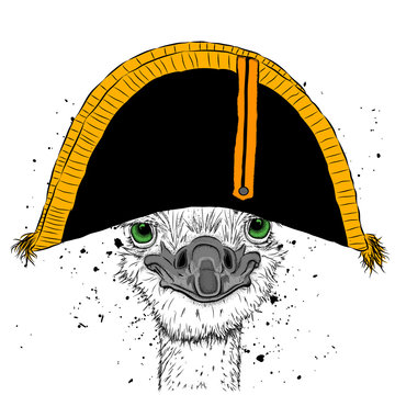 Ostrich in traditional French headdress. Cap of Napoleon. Vector illustration