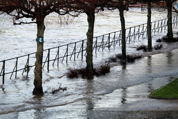 Hochwasser am Rheinufer
