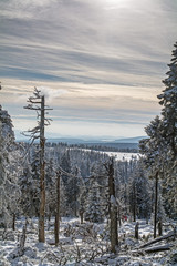 Winter im Harz