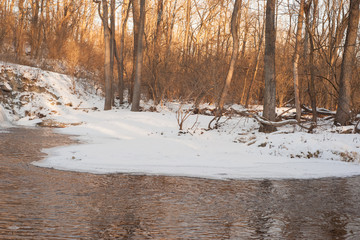 Snowy River Bank