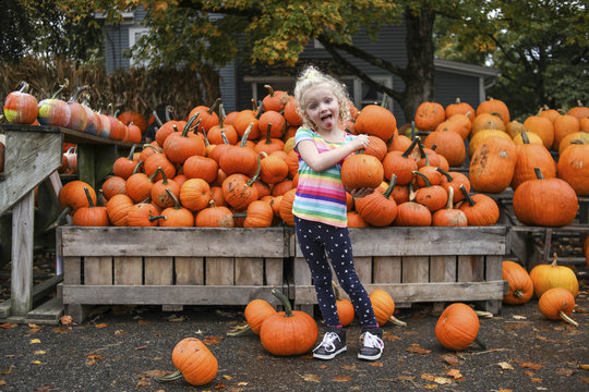 Portrait of playful girl sticking out tongue while holding pumpkin