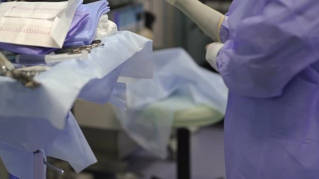 Doctor dresses gloves isolated on gray background