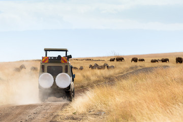 Photographer Safari Vehicle on Game Drive © adogslifephoto