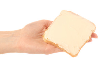 Bread with butter processed cheese in hand