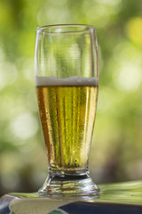 Glass of beer on the table