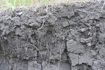 nature ground soil cracked brown dirt
