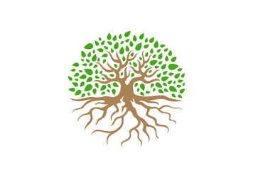 Circle Tree with Roots vector Illustration. Garden icon