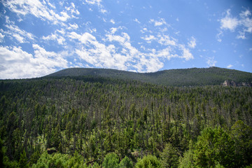 Aerial View of trees and mountain with blue sky