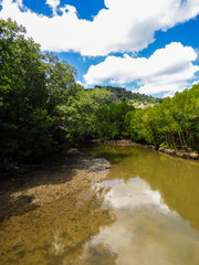 A view of the river and the mangrove at Pran Buri National Forest Park - blue cloudy sky in the background (Hua Hin, Thailand)