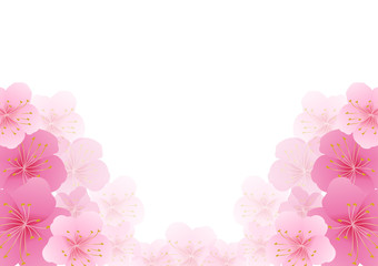 Fototapeta na wymiar Cherry blossom,Sakura pink flowers background.