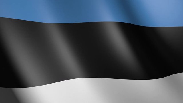 Flag of Estonia with fabric texture, seamless loop