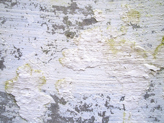 Fototapeta premium Texture of old white walls