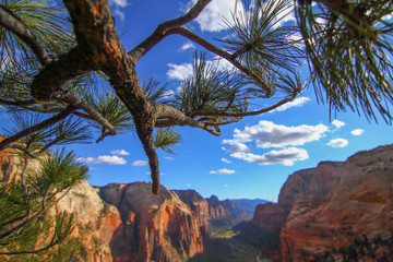 Angels Landing in Zion