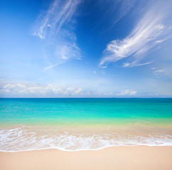 beach and beautiful tropical sea