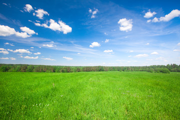 Green field under blue cloudy sky