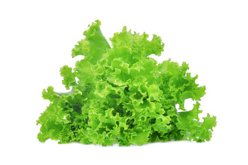Obraz premium fresh green oak lettuce salad leaves isolated on white background