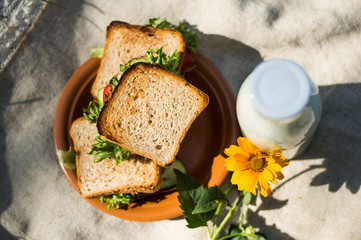 Sandwiches with milk and yellow flower on a picnic