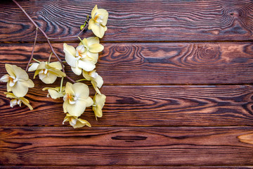 Branch of a yellow orchid on a brown wooden background 