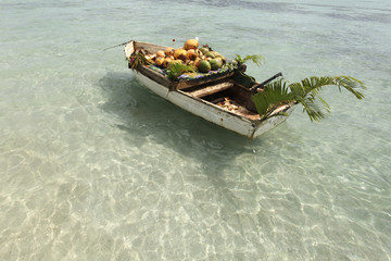 coconut on boat