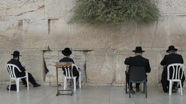 four seated jewish men pray at the wailing wall in jerusalem, israel