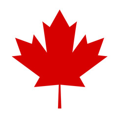 Czerwony liść symbol kanady - obrazy, fototapety, plakaty