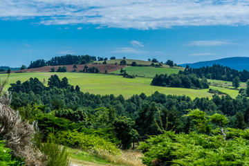 Obraz premium Paysage du Cantal.
