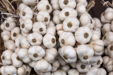 Braid of a organic homemade garlic