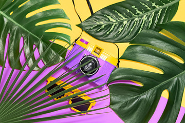 Tropical Palm Green Leaves Background. Colorful Hot Summer Vibes. Fashion concept. Trendy Sunglasses, fashion Hipster Accessories. Retro Design camera